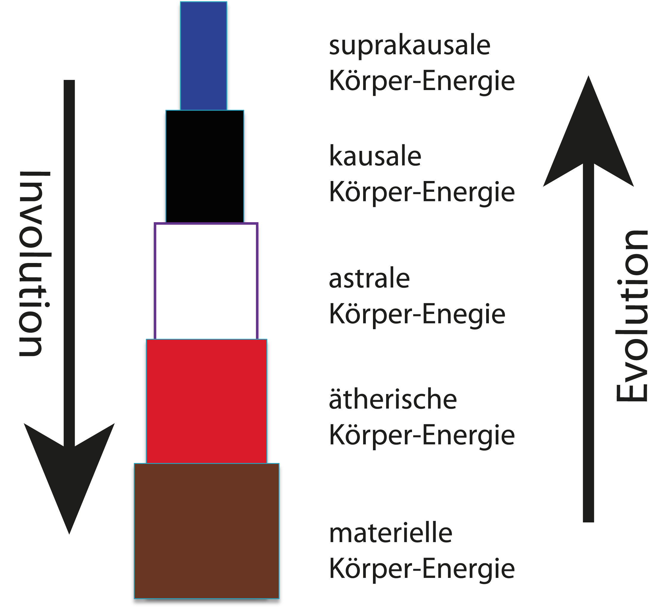 Involution und Evolution